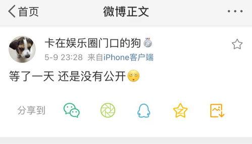 爆料吃瓜心声,吃瓜群众心声大曝光！