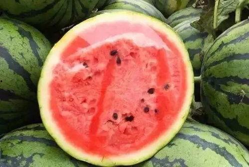 5米吃瓜网,网络舆论场的新势力