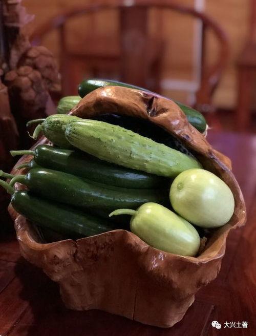 网红吃瓜渠道,幕后真相大曝光！