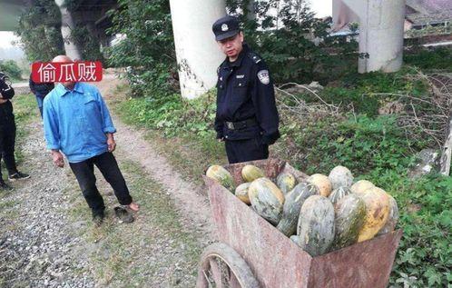 文安吃瓜最新事件网红