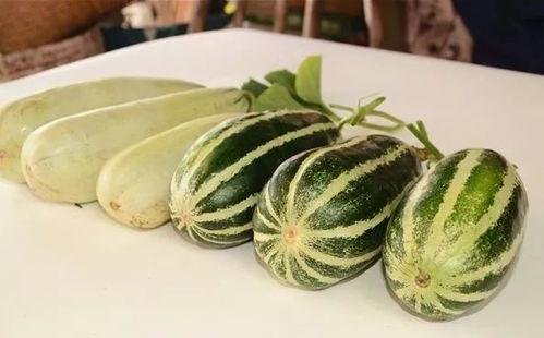 娱乐网红热点吃瓜